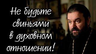 Притча о гадаринском бесноватом. Отец Андрей Ткачёв