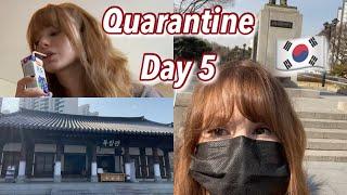 South Korea Quarantine Day 5 (vlog 14)