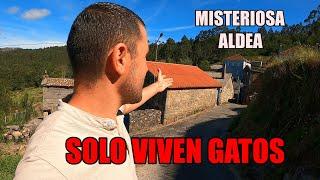 DESCUBRO una MISTERIOSA ALDEA donde SÓLO VIVEN GATOS.