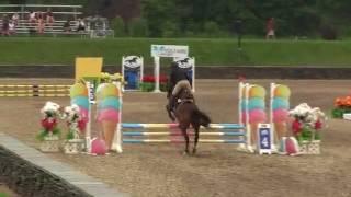 Video of Party Boy ridden by Kristin Paulson from ShowNet!