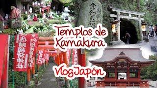 Kamakura: templos Sasuke Inari, Zeniarai, Tsurugaoka ► VlogJapón