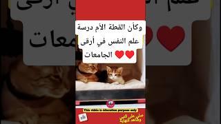 لولا وجود التصوير لما صدقها أحد ، صلي على النبي وشاهد للنهاية #shorts