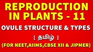 Ovule Structure & Types | Reproduction in Plants  Tamil 11 - Rajus Biology
