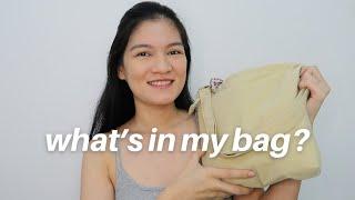 What's In My Bag 2023  Bee Danise