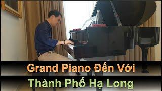   Grand Piano Yamaha Sang Trọng Quý Tộc Đến Với Thành Phố Biển Hạ Long Xinh Đẹp | Tuấn Lưu Piano