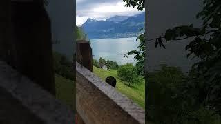 Capturing moments in nature #video #shorts #swissvillage  #capturingmoments #nature #swissbeauty