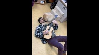 Veterinarian, Dr Ross, sings "You Got A Friend In Me" to golden retriever puppy on floor at work.