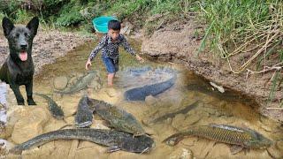 The inspiring fish-catching moves of orphan boy Nam's. The joy of selling out of fish so quickly