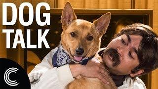 The Dog Whisperer with Farley Archer: Doggy Depression