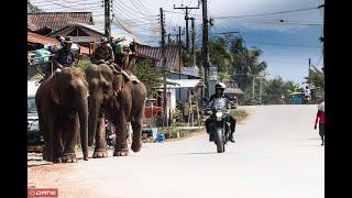 8 DAY TOUR (Ultimate Trails Thailand) | Award-winning Motorcycle Tour in Asia | Big Bike Tours™