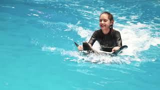 Swim With Dolphins in Dubai @dubaidolphinarium