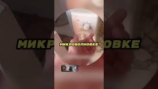 Он уничтожил овсянку за ясность проблемы ‍️