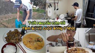 #192 | Tưới Rau - Nấu Cơm Tối | Tâm Sự Về Cuộc Sống Ở Nhật Bản | Đức Thư Vlogs