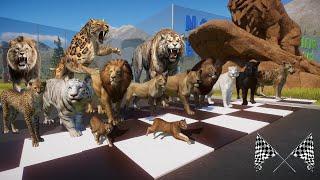 Big Cats VS Ancient Big Cats Animals Race in Abandoned City included Lion, Smilodon, Cheetah & Tiger