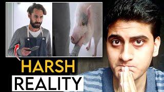 Dark Reality of Humans | This short film will open your eyes | Case de Carne | Save Animals - Moin