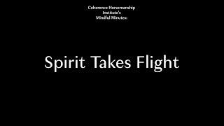 Spirit Takes Flight | Mindful Minutes Coherence Horsemanship Institute w/ Spirit of Horse Gallery