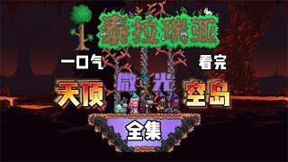 完整版：一口气看完用时半年更新完结的《天顶微光空岛》系列，看教授如何通关！【A教授-泰拉瑞亚】