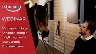 ehorses Webinar: Pferdepsychologie: Konditionierung & mögliche Problematiken mit Timo Ameruoso