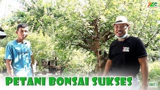 MASIH YAKIN NGGK MAU MAIN BONSAI...???