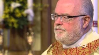 Accompanied by the Spirit | Homily: Msgr Paul Garrity