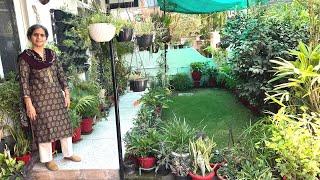 घर के बाहर बाये थरफ लगाएं ये पोधे आएंगे शुक समृद्धि ओर धन | Indoor Outoor Plants for Yout Gate