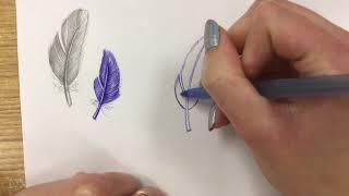 How to Draw Feathers: Doodle Art