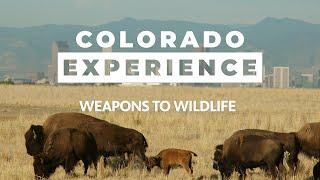 Colorado Experience: Weapons to Wildlife