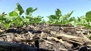 AgweekTV: Economics of No-Till Farming