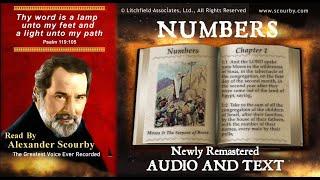 4 | Book of  Numbers | Read by Alexander Scourby | AUDIO & TEXT | FREE  on YouTube | GOD IS LOVE!