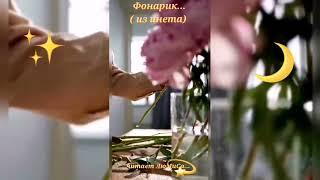 История. Фонарик. Читает ЛюМиСа.