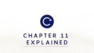 Chapter 11 Explained