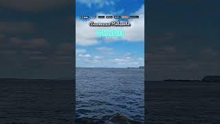 ФИНАЛ / Анастасия Новикова #музыка #music #любовь