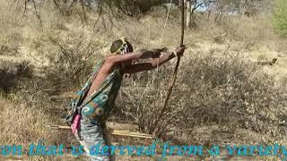 Hadzabe tribe: the last hunters and gatherers of Tanzania - Edited by Carmine Salituro