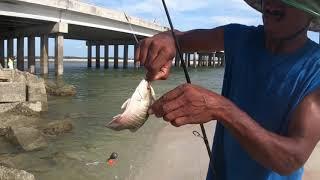 Matanzas Inlet Relaxation Trip, Turned Into Mini Fishing Trip.  (Live Shrimp, Mud Minnows For Bait)