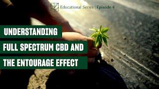 Episode 4 | Full Spectrum CBD and the Entourage Effect | CBD 101