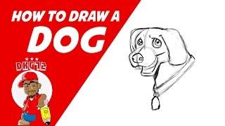 How to draw a Dog - Drawing with DKG72