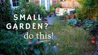 9 Tips to Thrive in a Small Rented Garden (5 is a must do!) 🫶