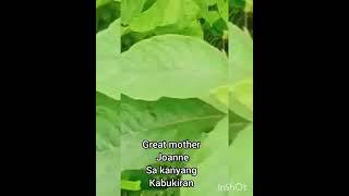 Great mother and her farm | Dakilang Ina | LadyG  Channel