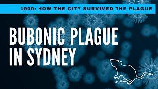 Bubonic Plague in Sydney: How the City Survived the Plague