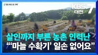 살인까지 부른 농촌 인력난…“‘마늘 수확기’ 일손 없어요” / KBS  2023.05.30.