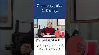 Cranberry Juice and Kidneys by Dr. Mujtaba Chaudhry  #drmujtabachaudhry #doctor #kidneydisease