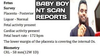 My Baby Boy NT Scan Reports | Baby Ultrasound | Heart Rate | Placenta Position | Gender | adhurs adi