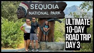 Ultimate Road Trip: 10-Day California Adventure - Day 3