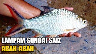 CARA CASTING FLY LURE DENGAN PANCING SPINNING | Ultralight Fishing