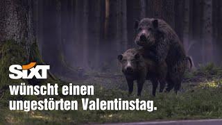 SIXT wünscht einen ungestörten Valentinstag  | Valentinstag 2022