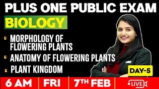 +1 Biology | Morphology Of Flowering Plants | Anatomy Of Flowering Plants | Plant Kingdom