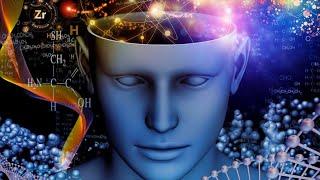 The secrets of human consciousness : the brain in mirror - Full Documentary Neurosciences - HD