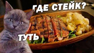 ГОРЕЛЫЙ ЛУК и СОЕВЫЙ СТЕЙК...Кот ВЫЖИЛ!