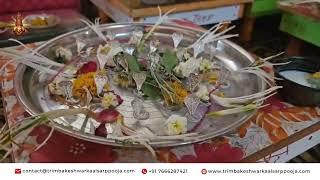 Vardani Pandit Ji Trimbakeshwar Pandit Rishikesh Guruji 7666287421 #kalsarp
