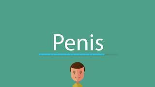 How to say Penis